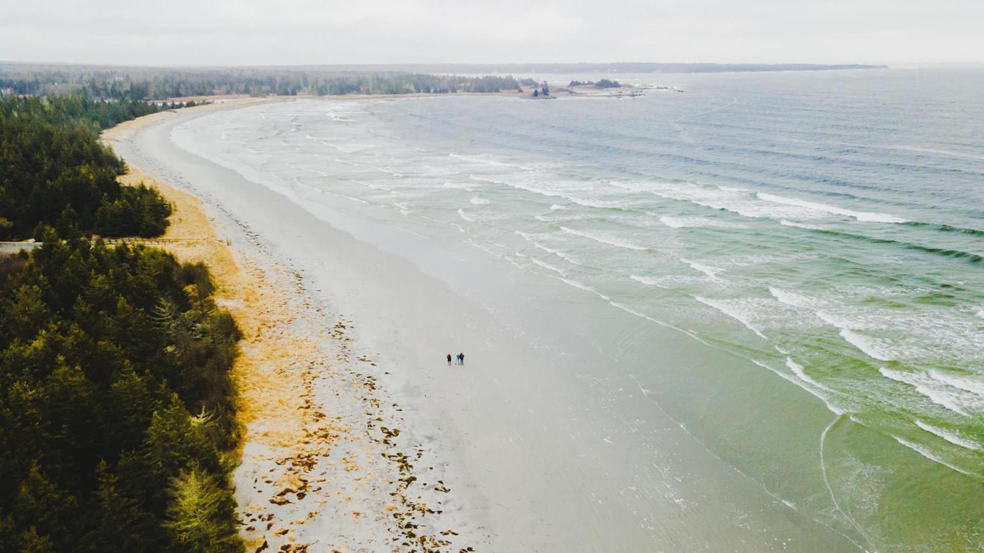 Blissful Oceanfront Cottage In Port Mouton Exteriör bild